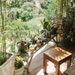 Tips for Creating a Relaxing Garden Space at Home